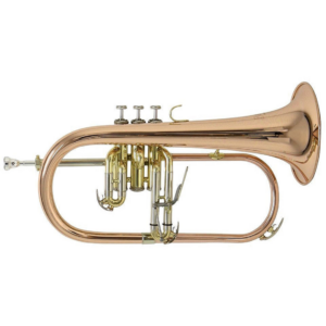 Bach FH501 Flügelhorn (1)