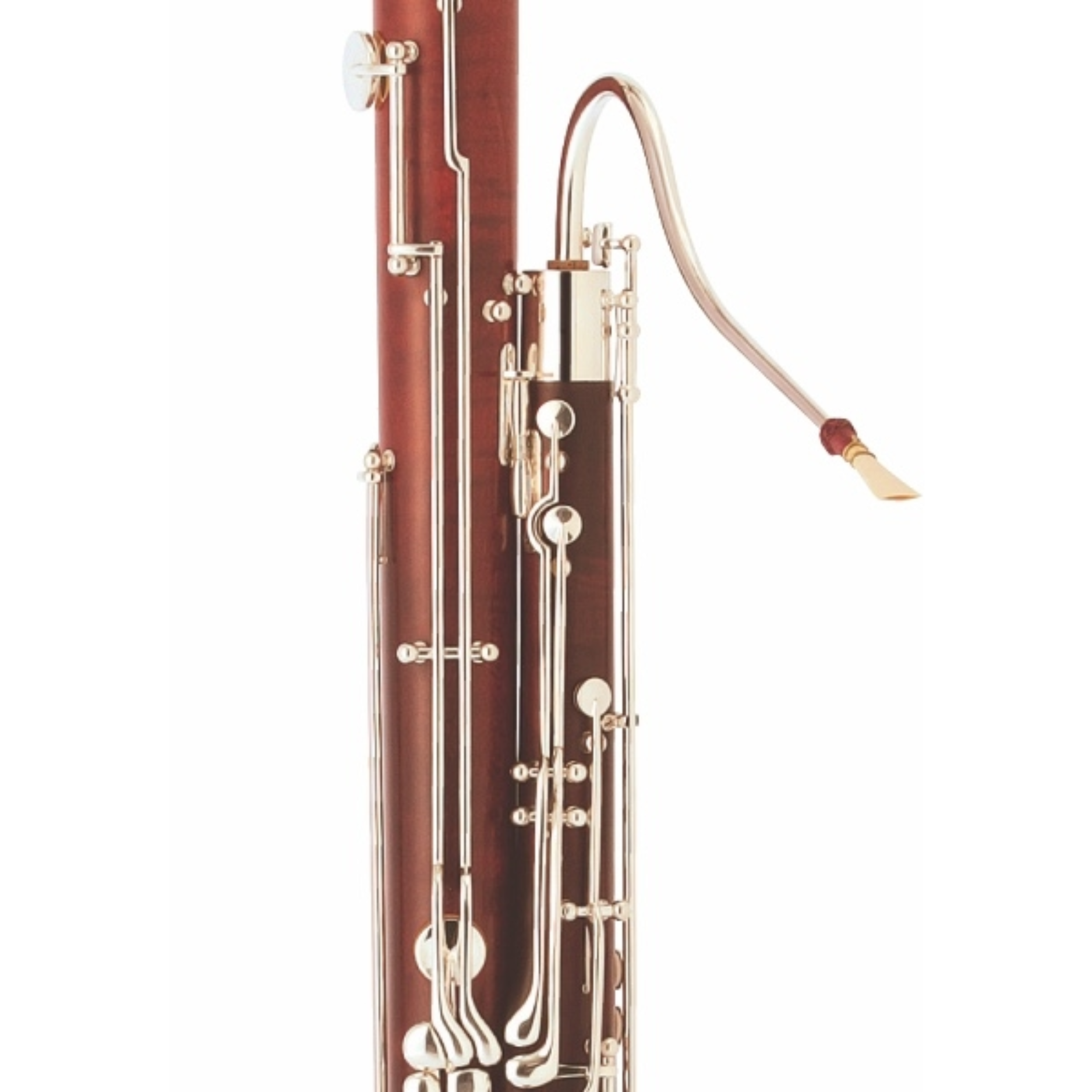 Fagott Schreiber 5031 Neu! – Bild 2