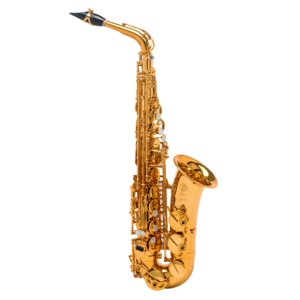 Altsaxophon Selmer Signature (1)