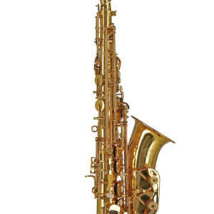 Eb-Alt Saxophon AS501 Ambition