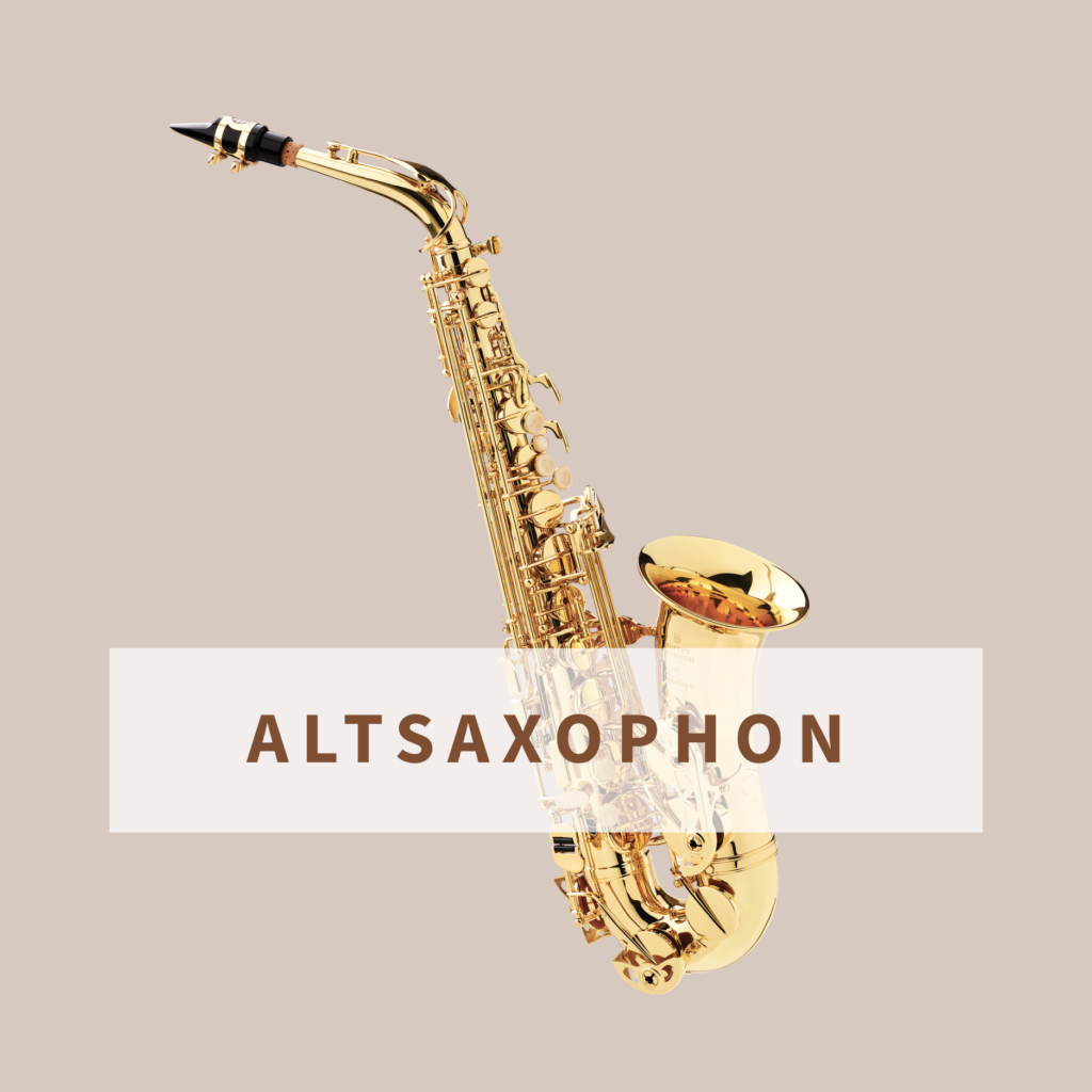 Altsaxophon Simon Freyer (5)