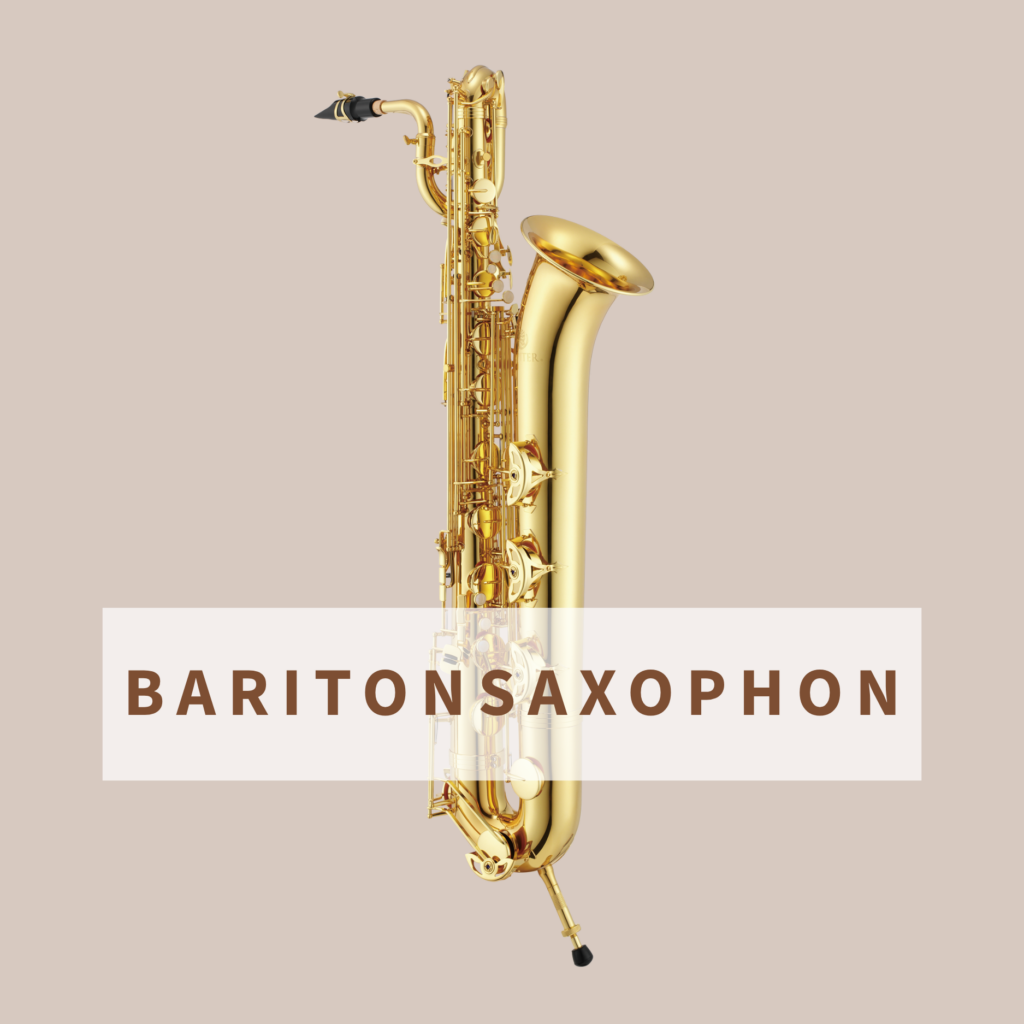 Baritonsaxophon Simon Freyer (2)