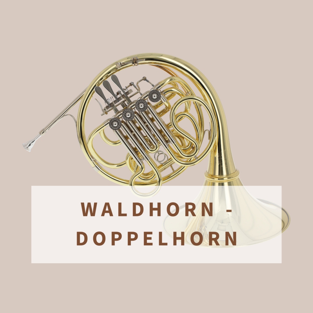 Doppelhorn Simon Freyer (2)