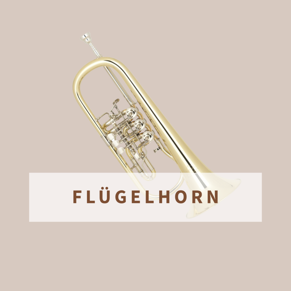 Flügelhorn Simon Freyer (3)