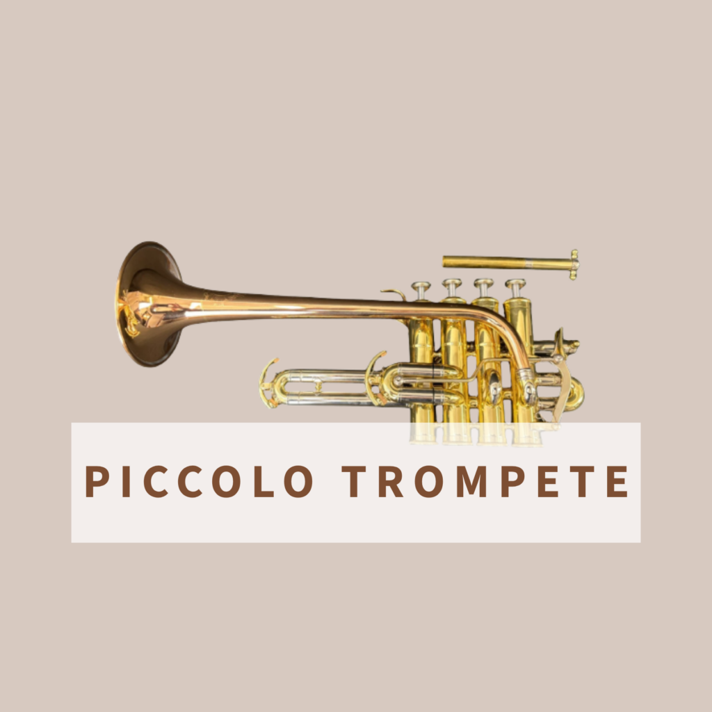 Piccolo Trompete Simon Freyer (1)