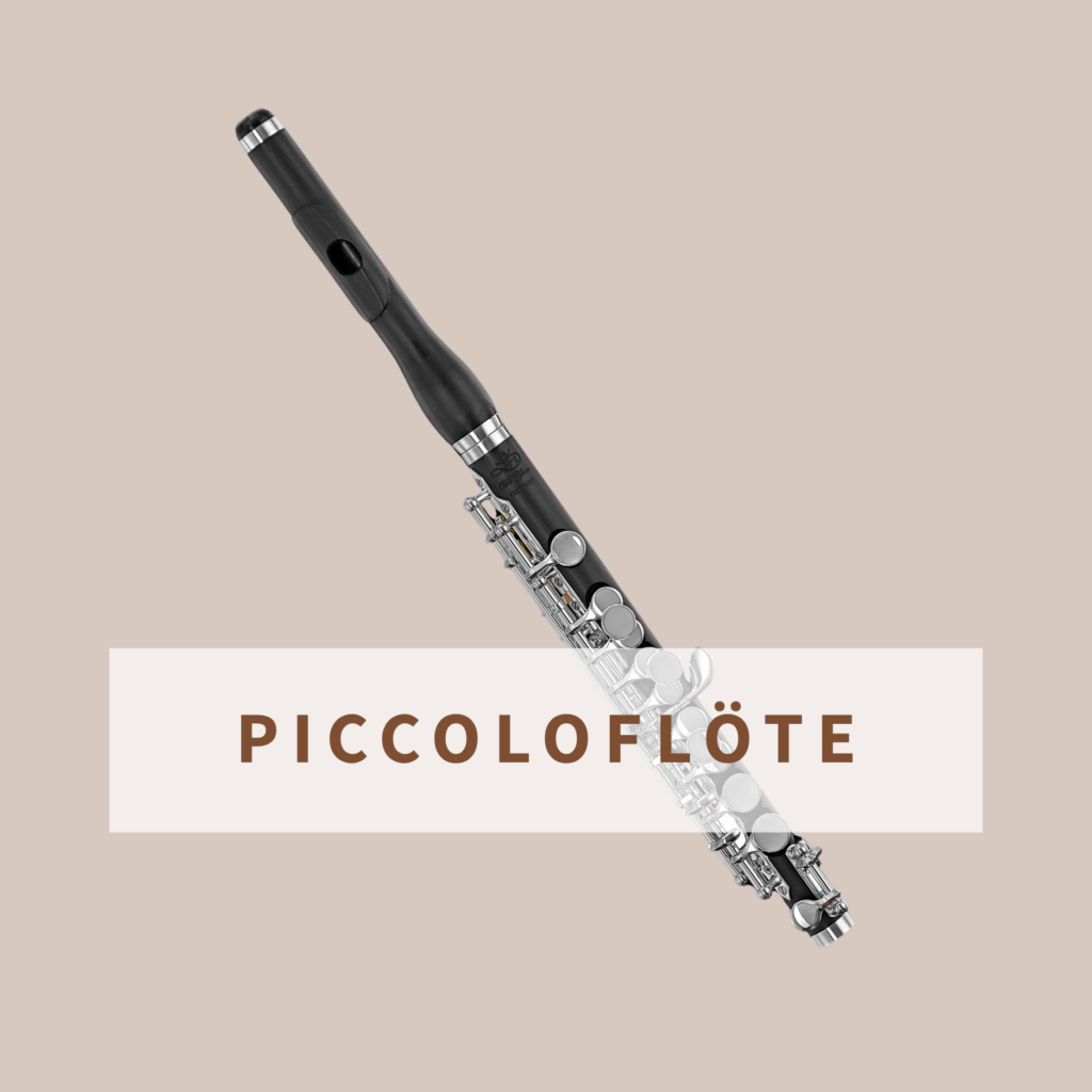 Piccoloflöte Simon Freyer (2)