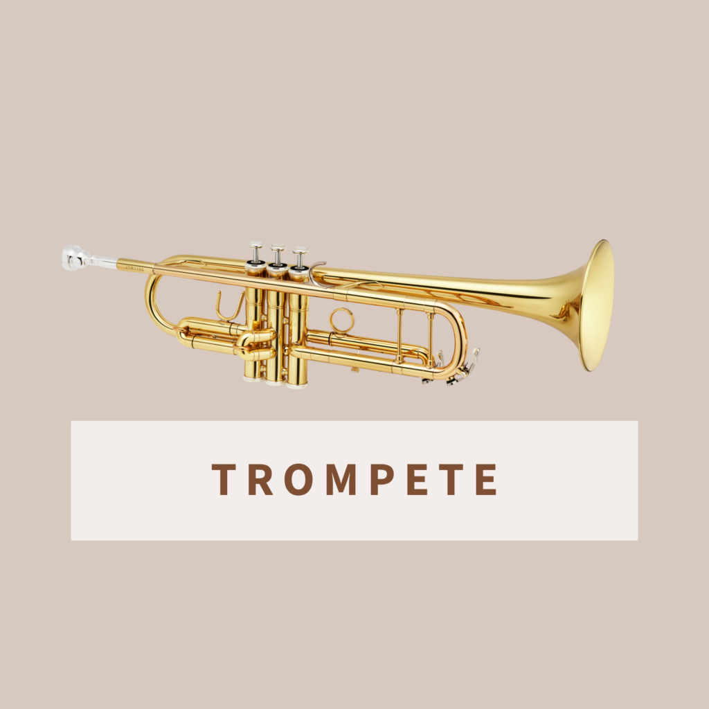 Trompete Simon Freyer (4)